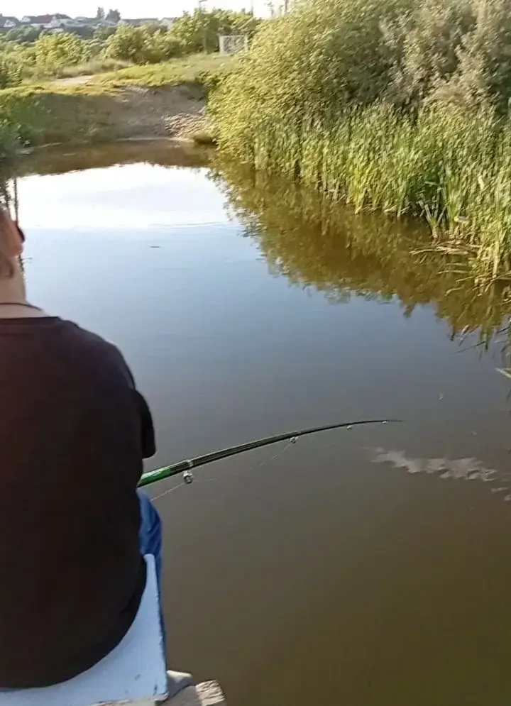Пруд пожарный