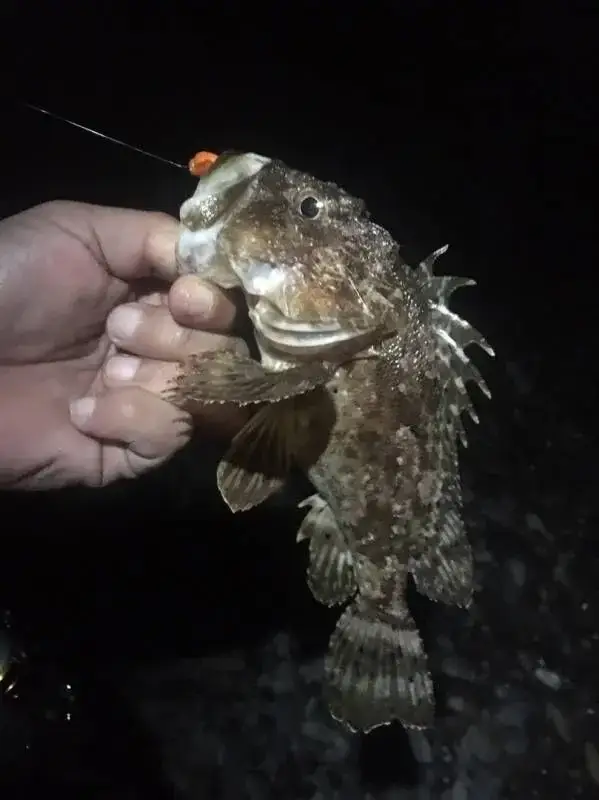 Чёрное море