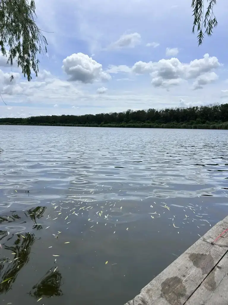 Сталинский