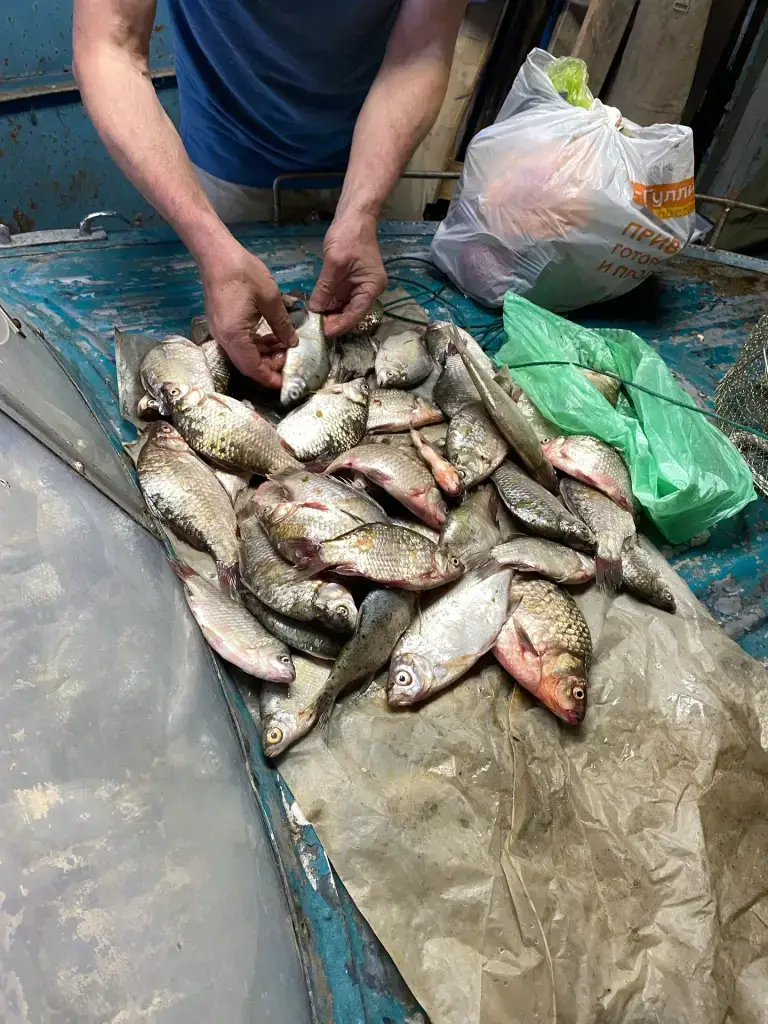 Залив Ивановский