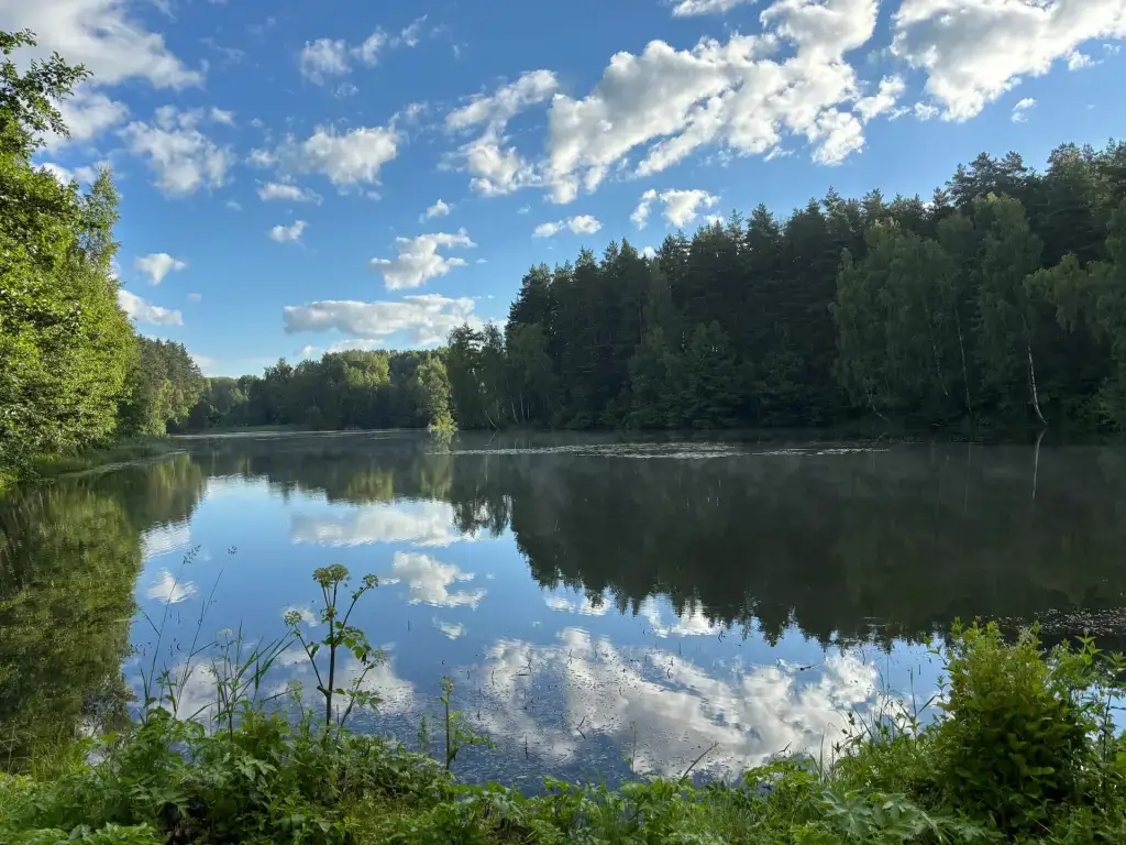Рождественский лесной пруд