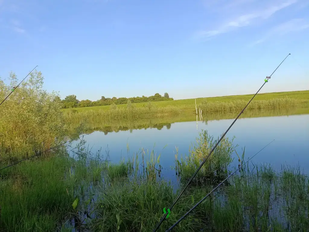 Голованиха