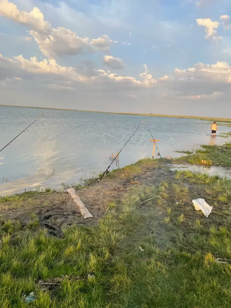 Жыланды