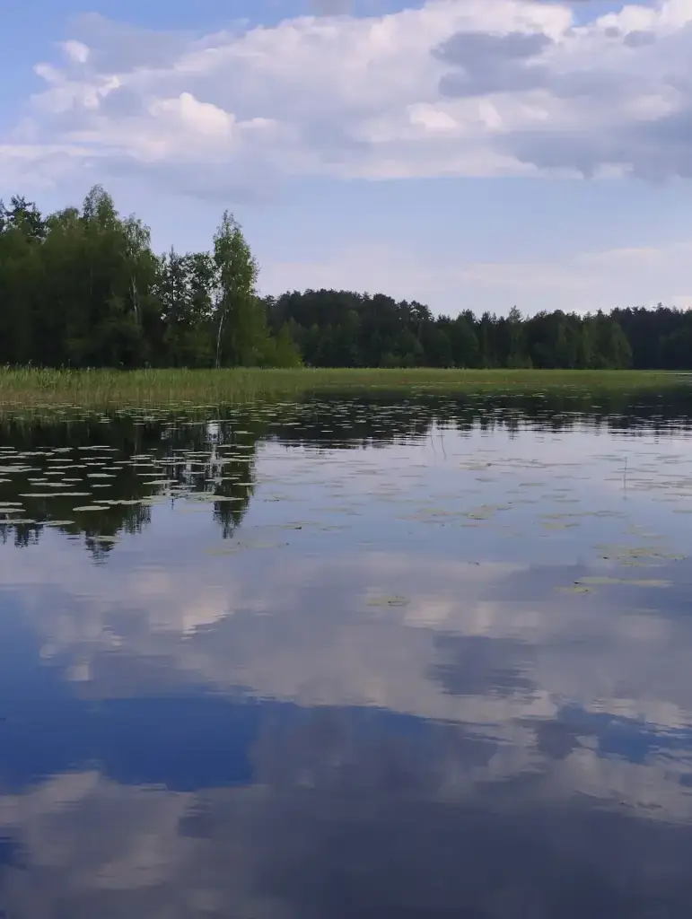 Вильский пруд