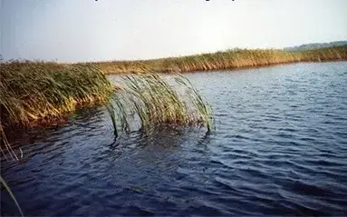 Убинское
