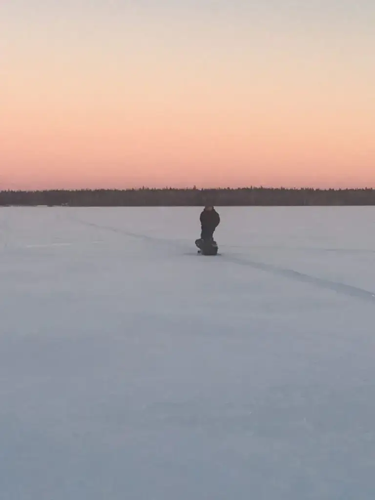 Белое