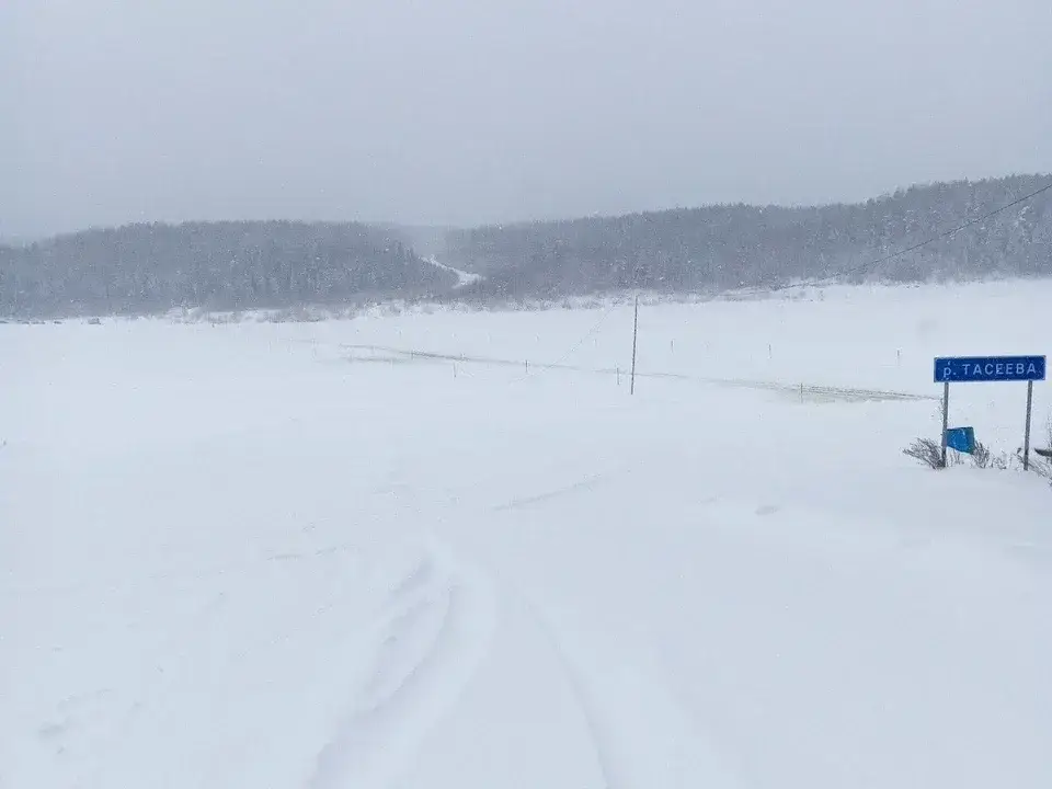 Тасеева