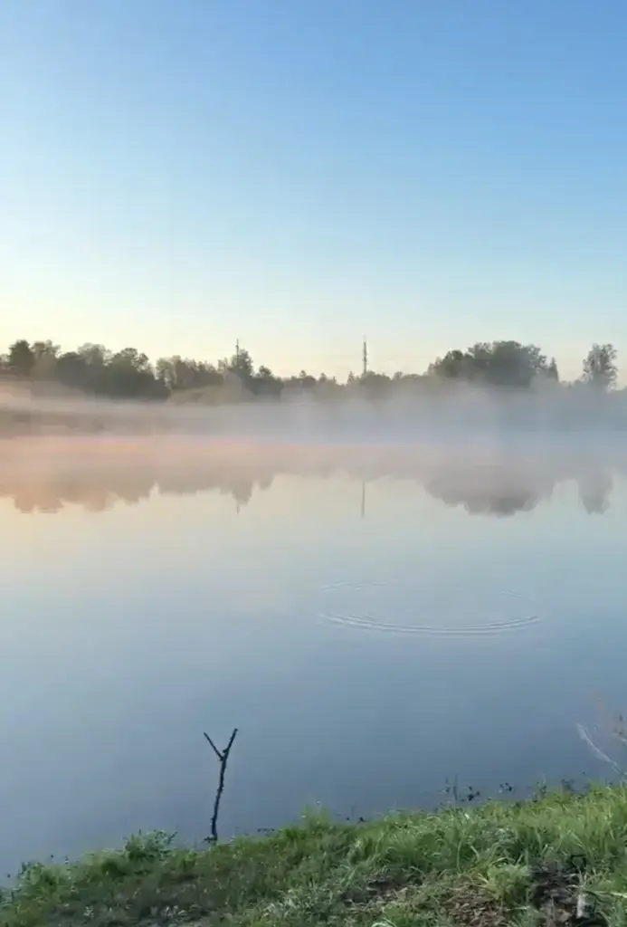 Савинский пруд