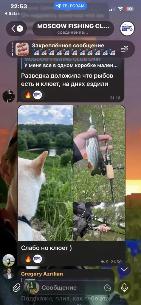 Тверца