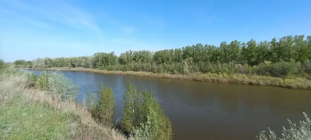 Урал (Хищная заводь)