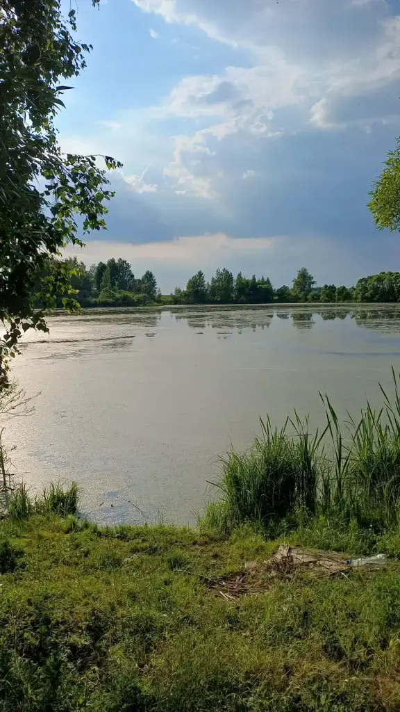 Сухая Городенка (Чернозем)