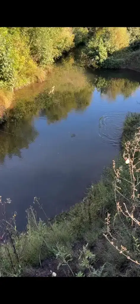 Каргалка (Бункер)