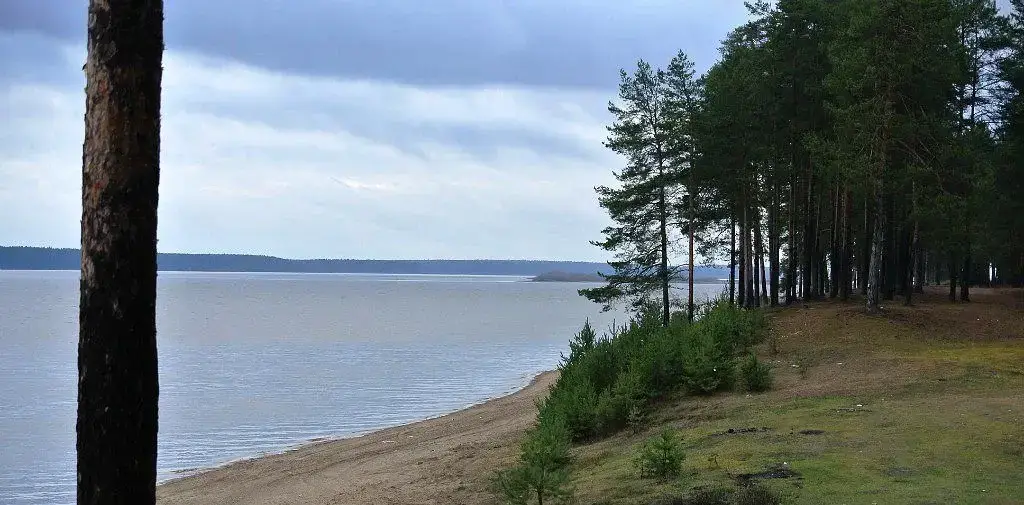 Камское водохранилище (Район Орла)