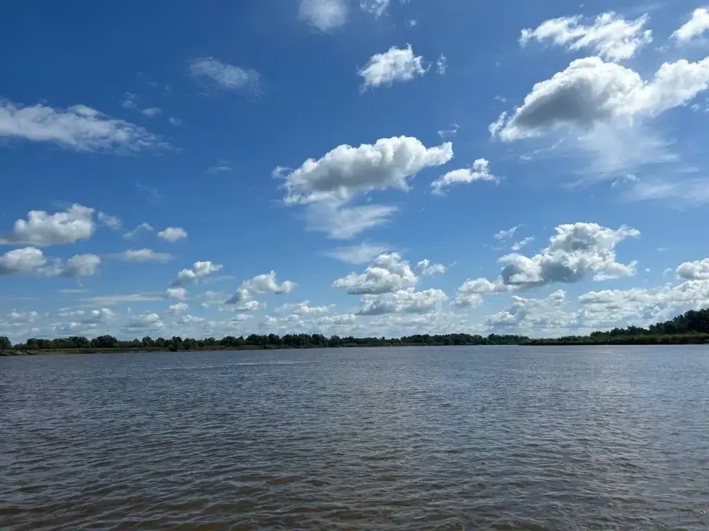 Старица Оби