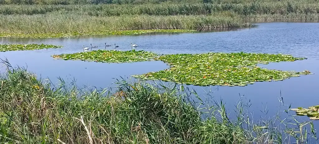Карьеры Ильского