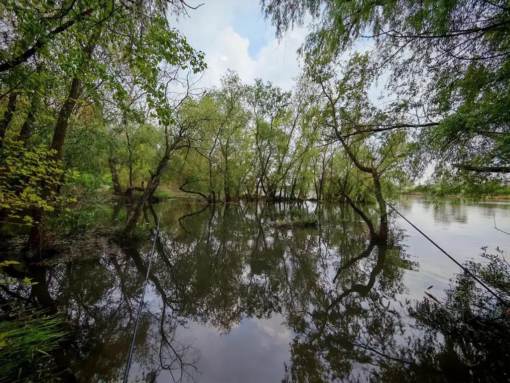 Кубань