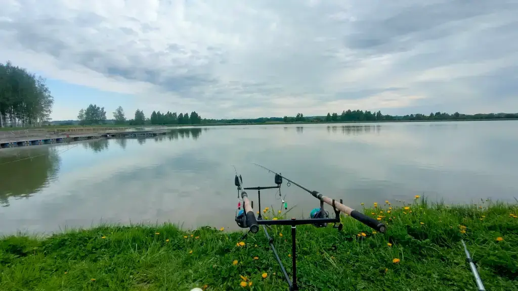 Кудринское