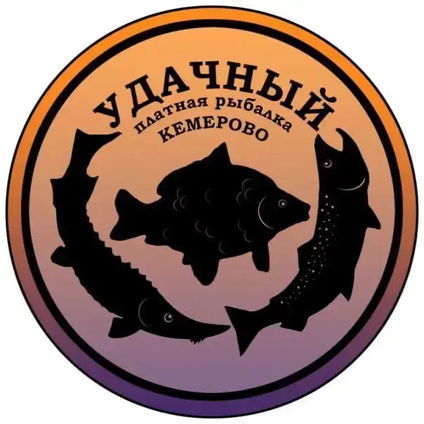 Удачный
