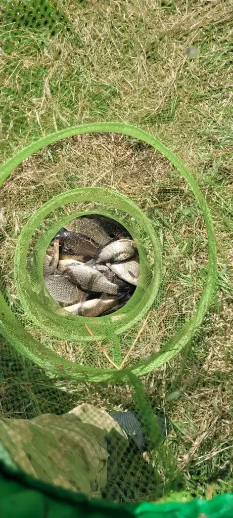 Долгое