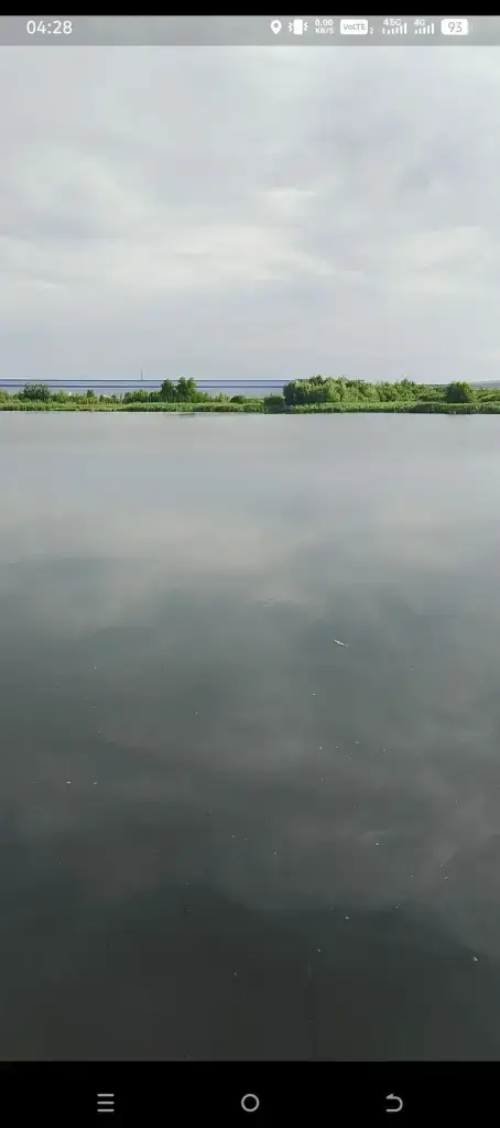 Моховое