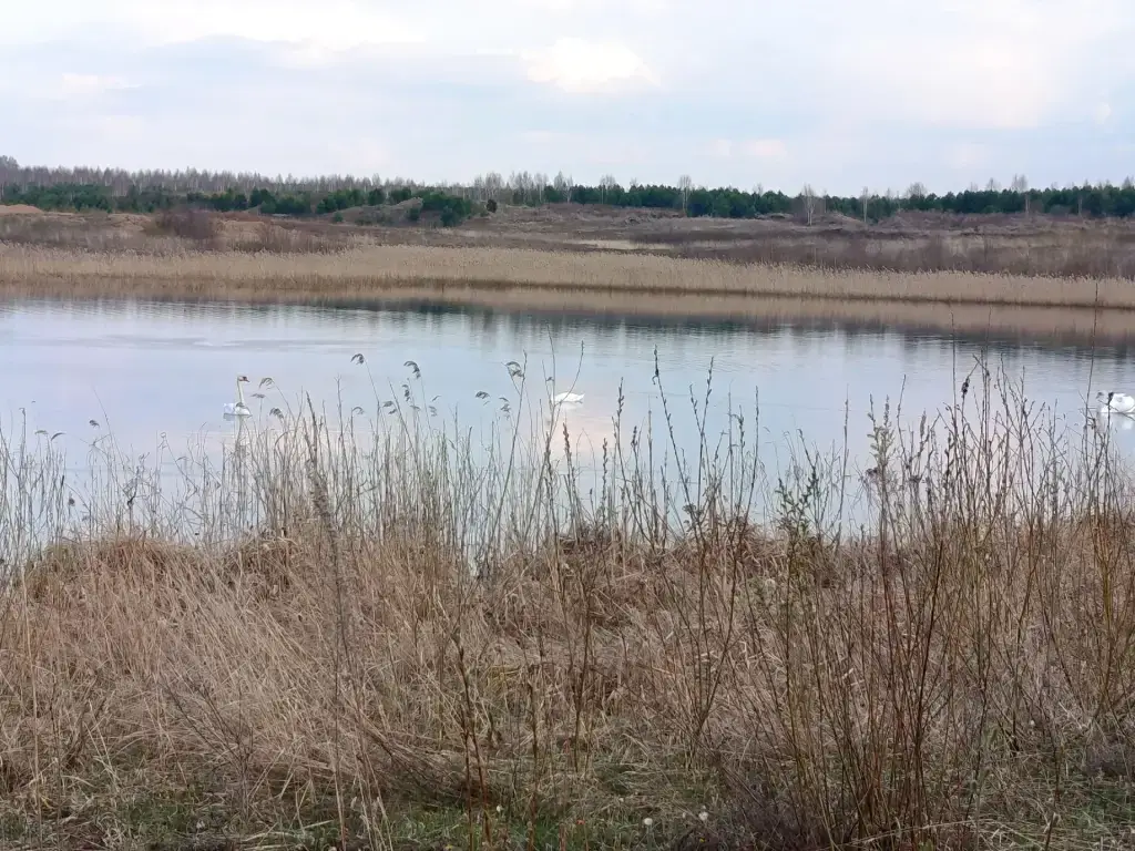 Нейва (глинистый берег)