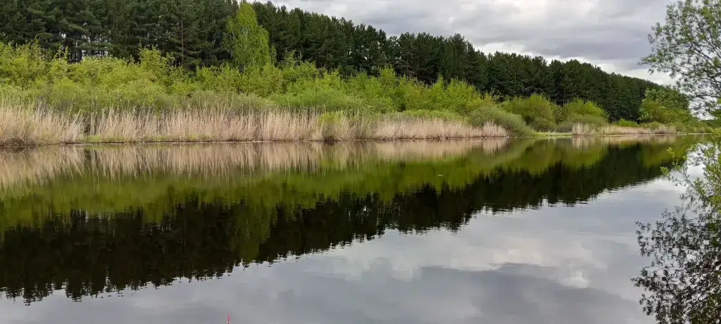Черное
