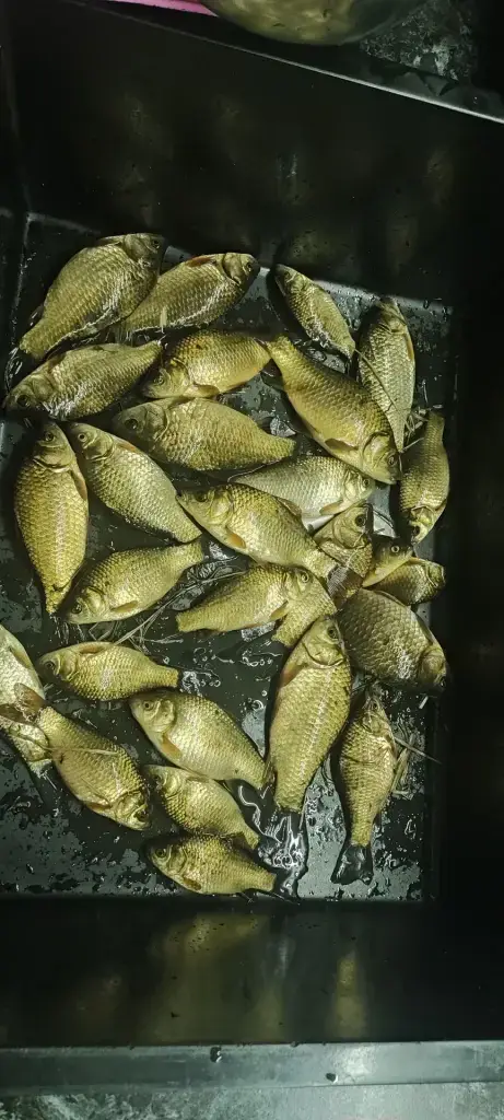 Казань