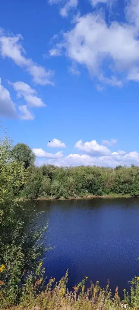 Прорва