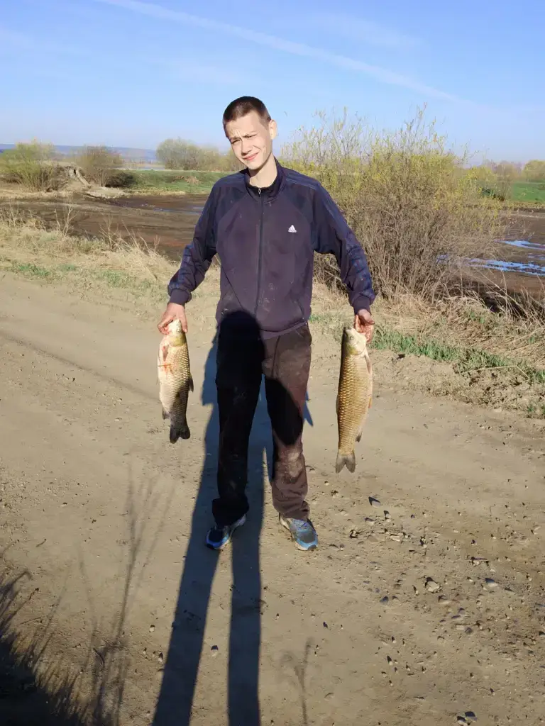 Штаны