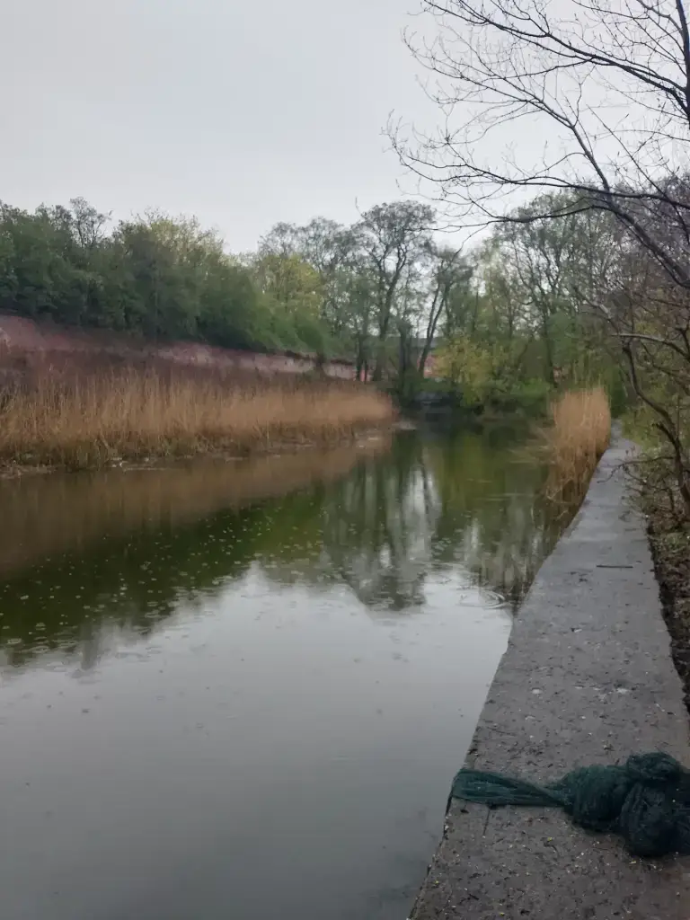 Балтийск (звезда)