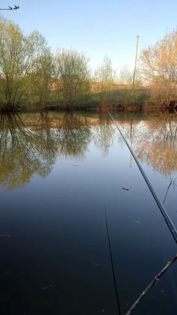 Пригородный