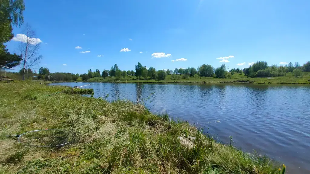 Радюкино