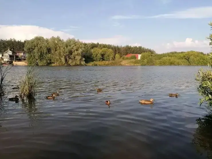 Крутовка