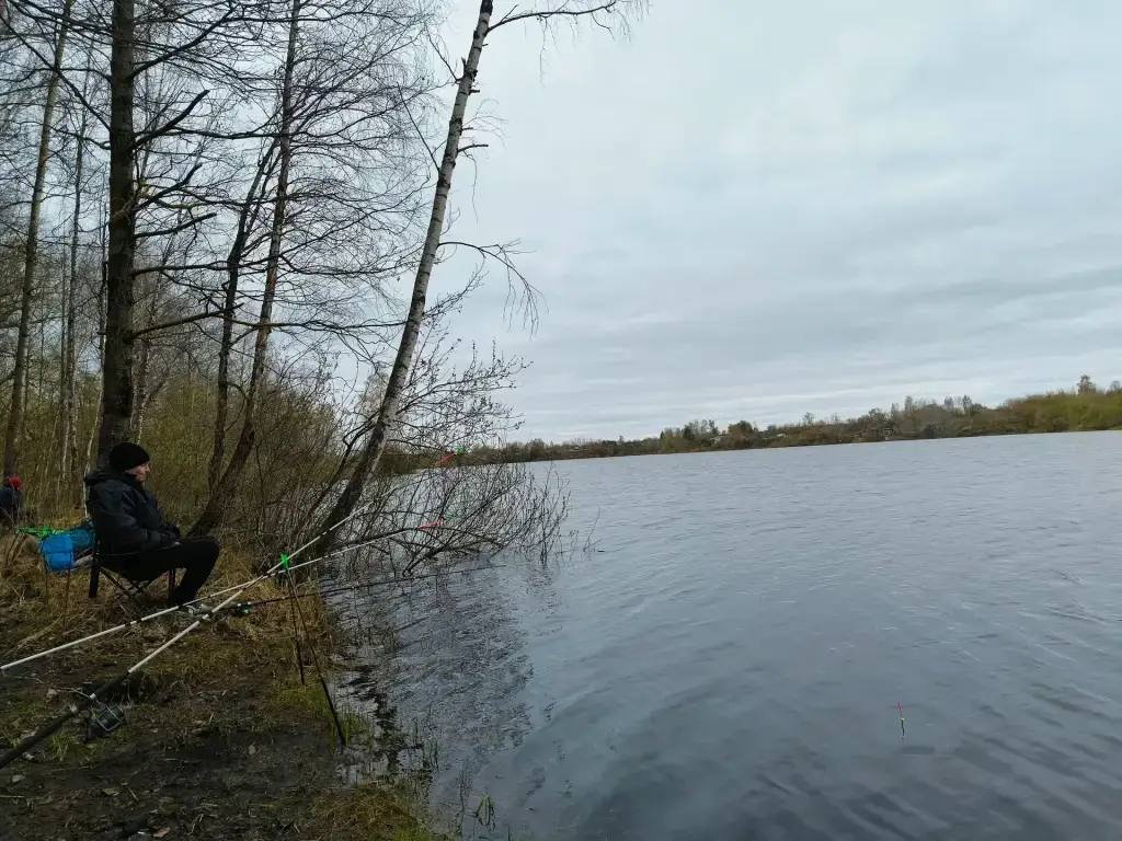 Зеленка