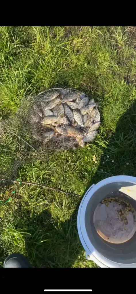 Большое Лебяжье
