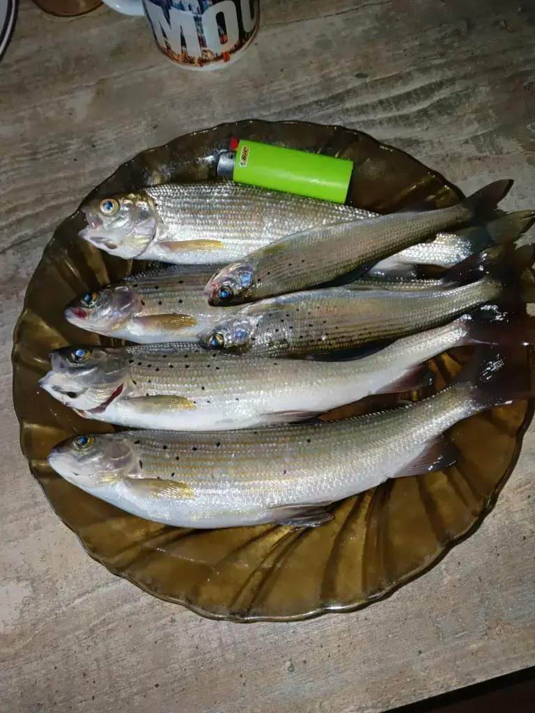 Слияние Талицы и Чарыша