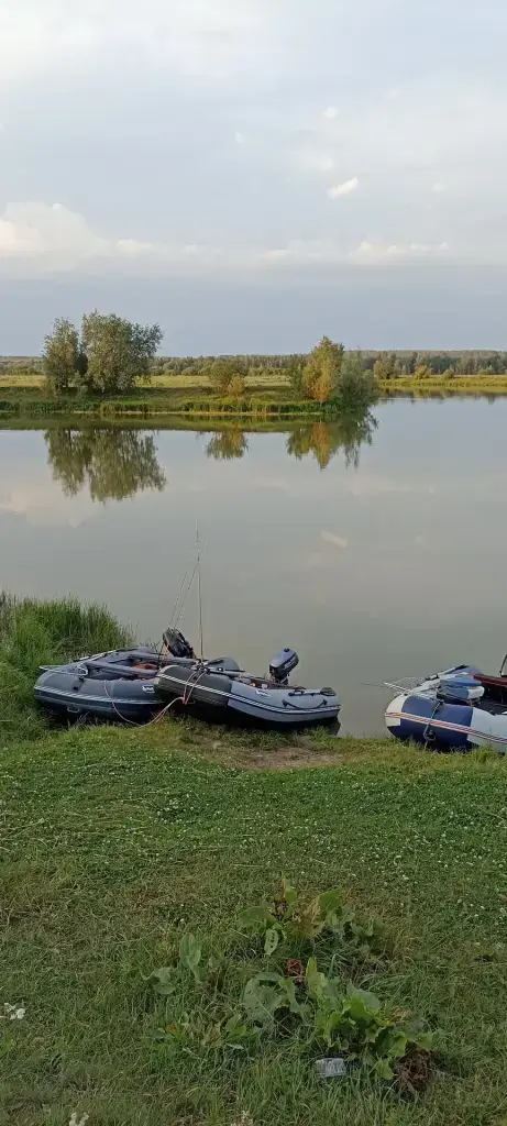 Тугочайка