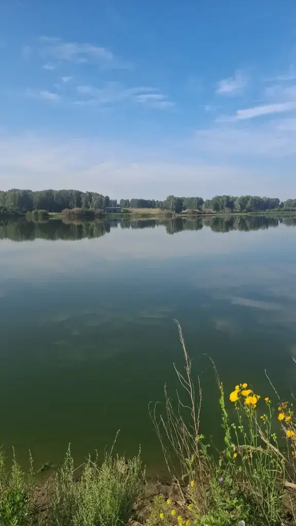 Ирмень (Запруда)