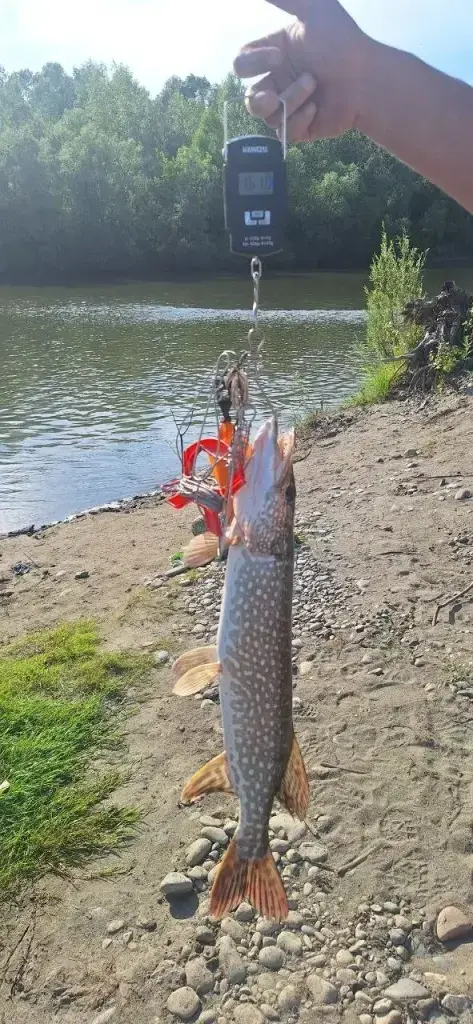 Чемровка