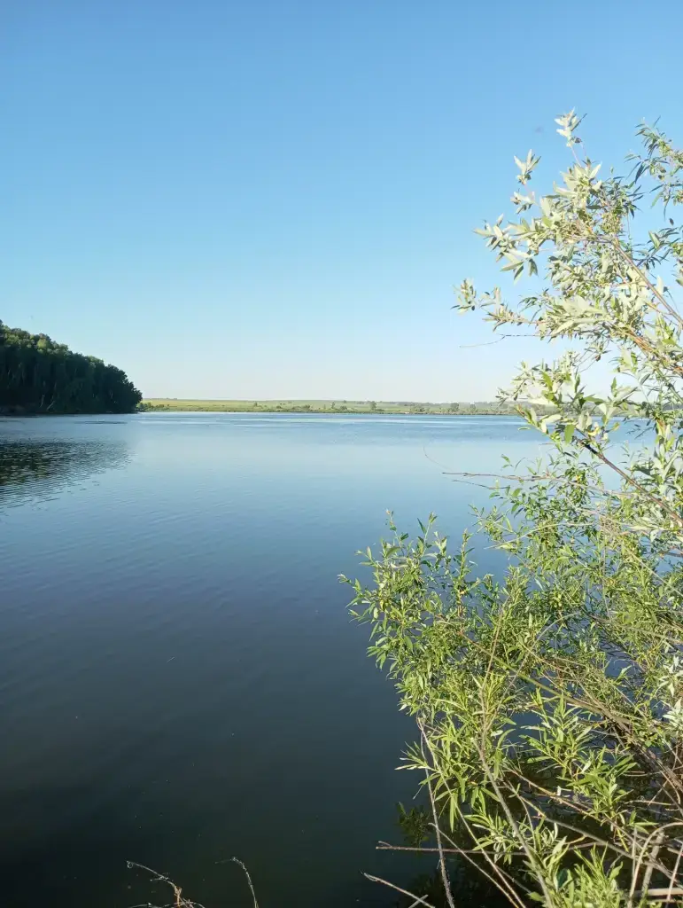Ульяновский