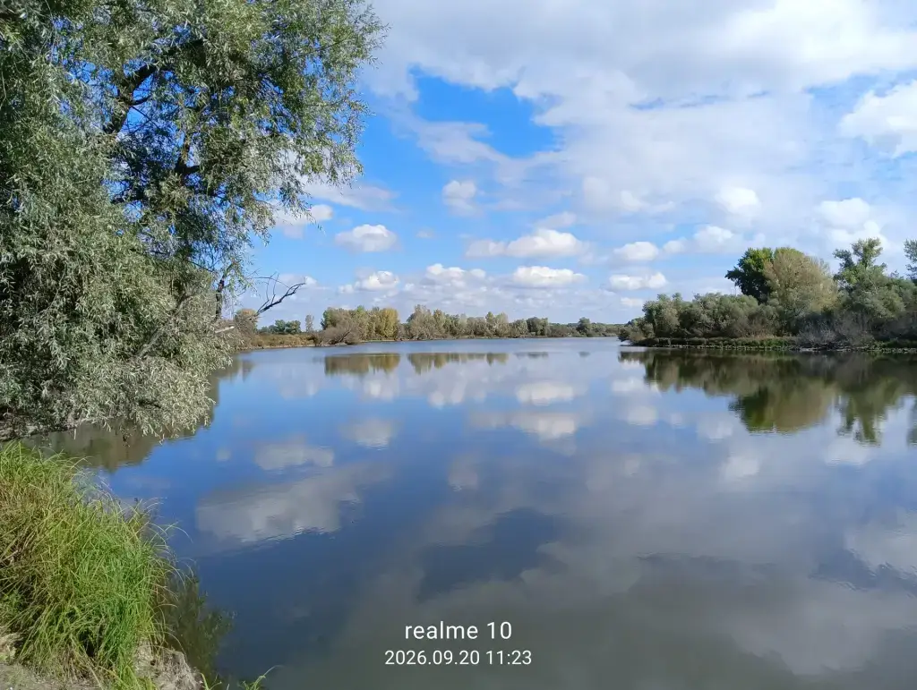 Хвощевое (Подкова)