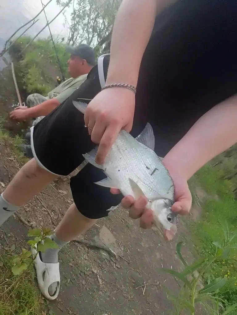 Пляж АБ