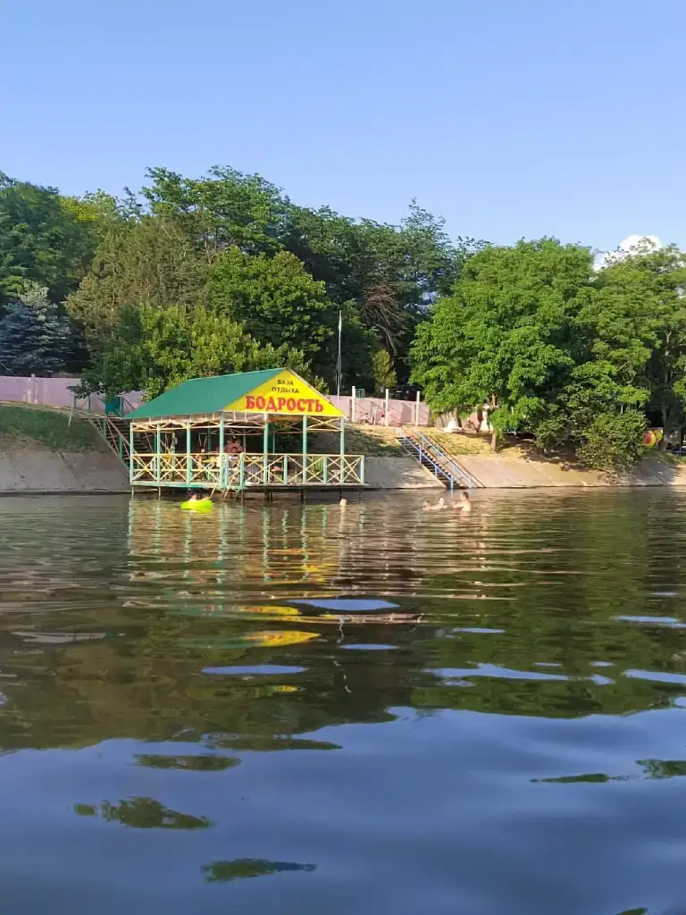 Бодрость