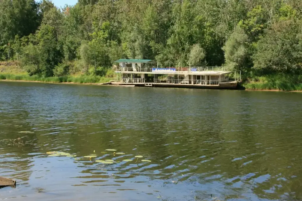 Сосенки на Волге