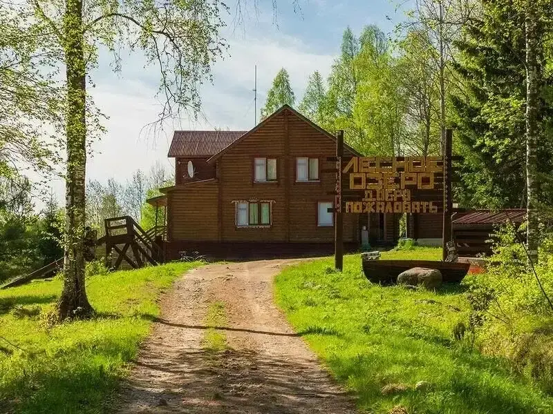Лесное озеро