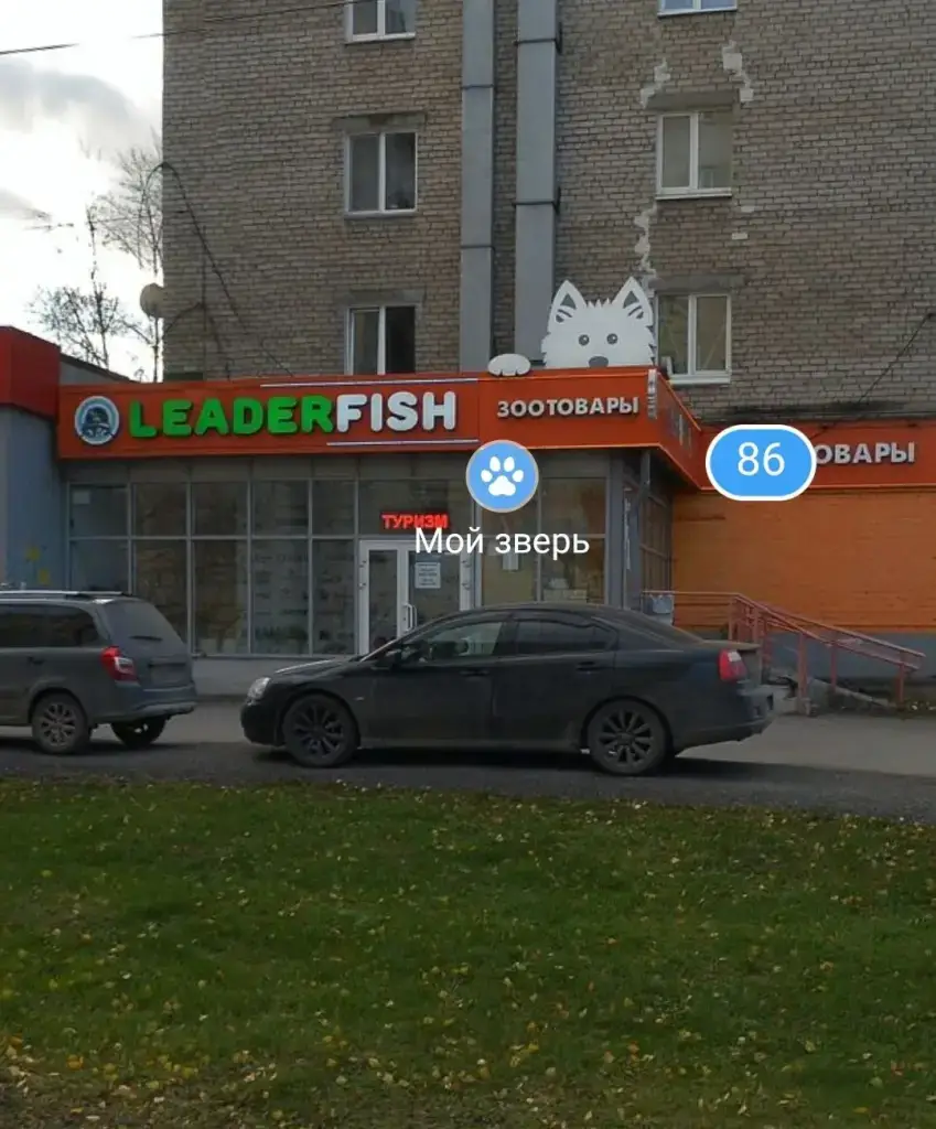 Лидер Фиш