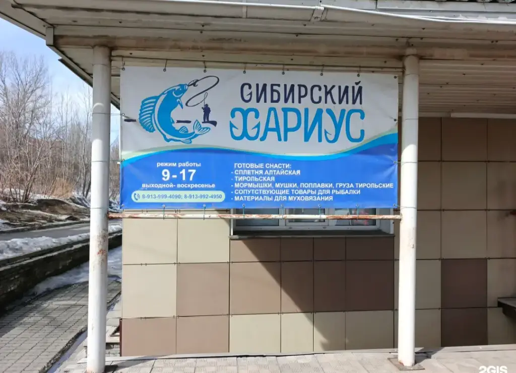 Сибирский хариус