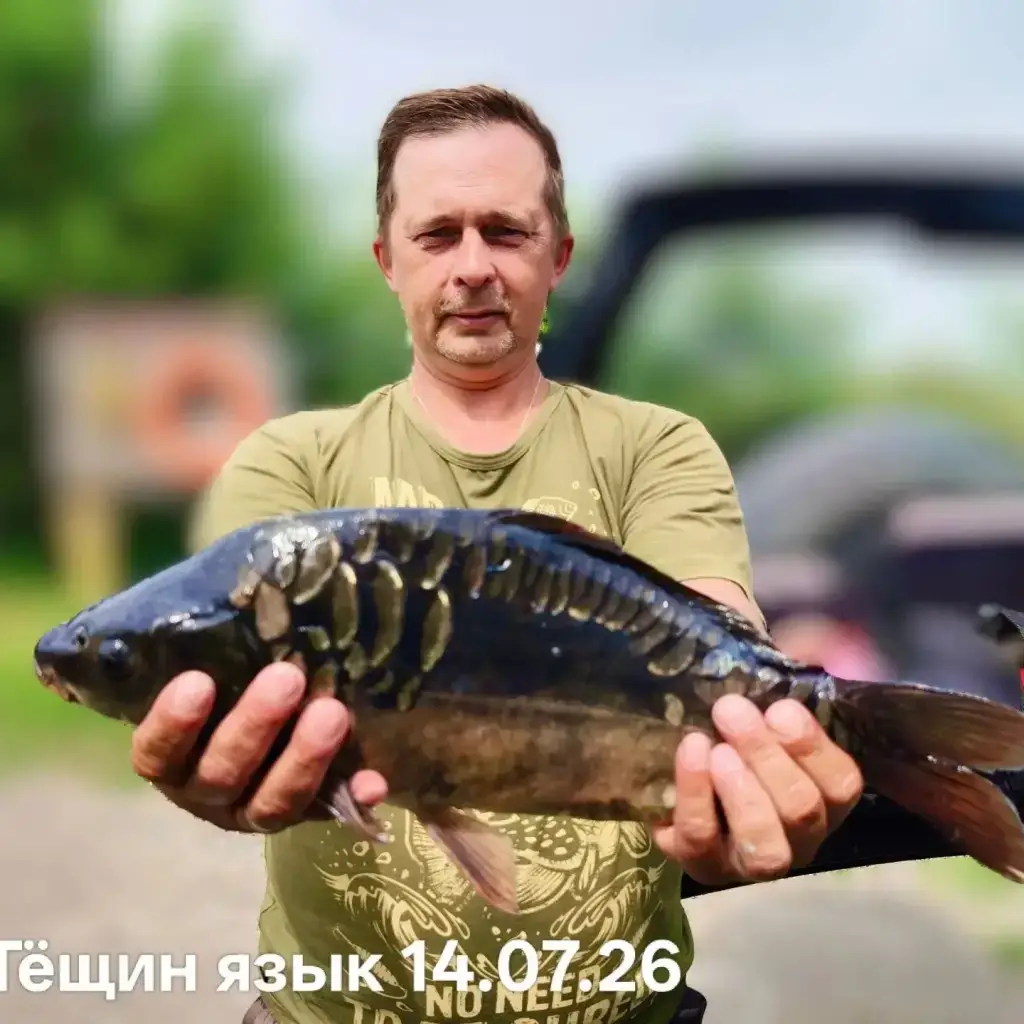 Фото из публикации 1