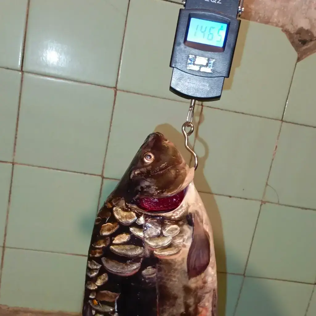 Фото из публикации 2