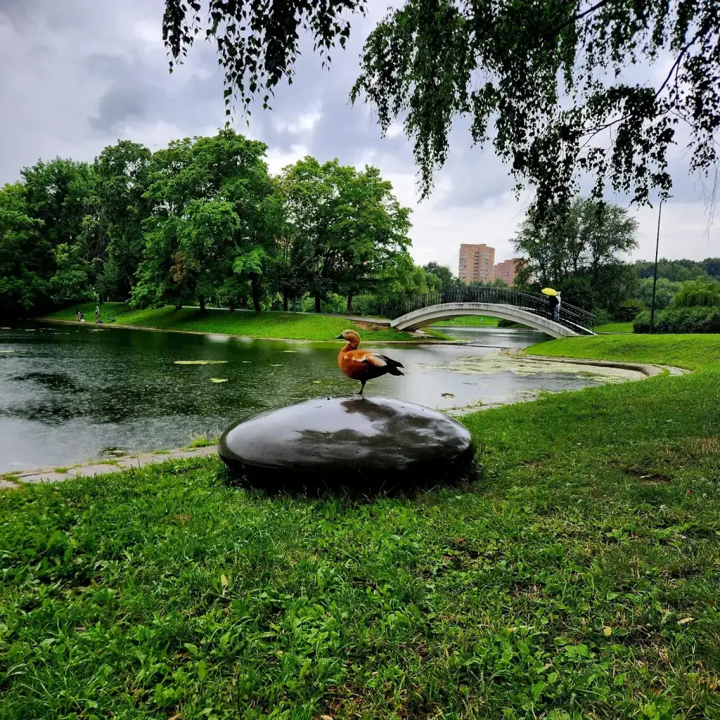 Фото из публикации 1